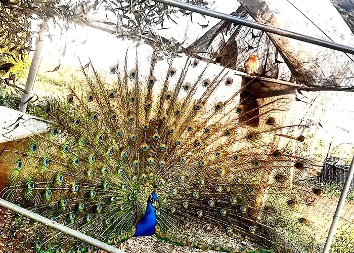 Prima Luce Bed & Breakfast 3*