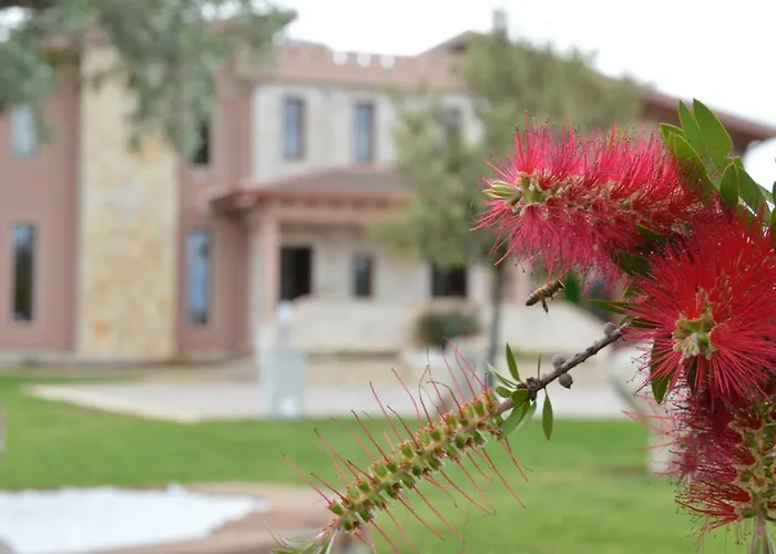 Prima Luce Nova Siri